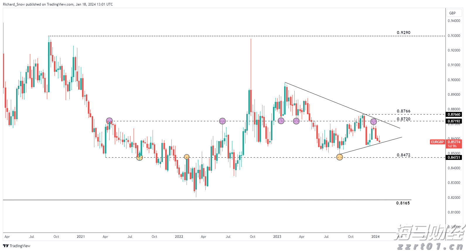 从跟跑到领跑，“一粒种子”的闯关突围