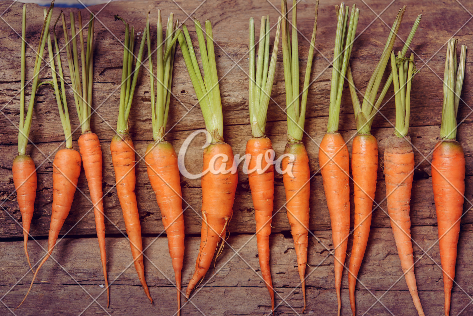  浙江发布首批公开实施专利清单并首颁专利权益分割证书