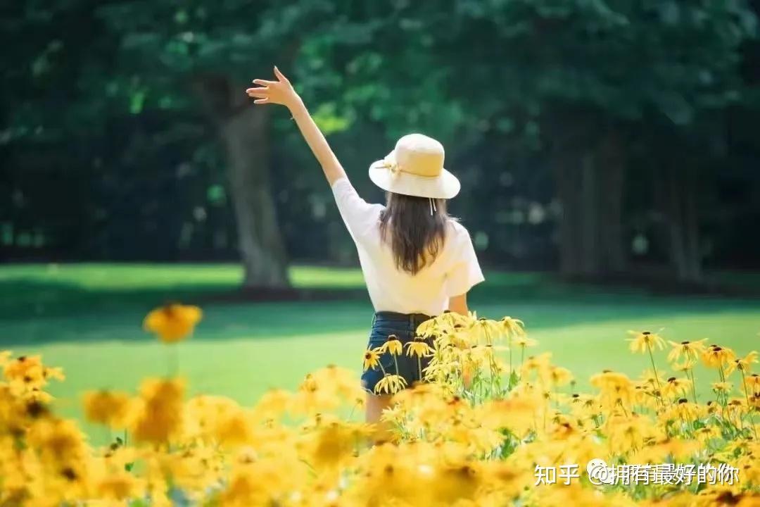 防暑降温!珠海全市高温黄色预警信号生效