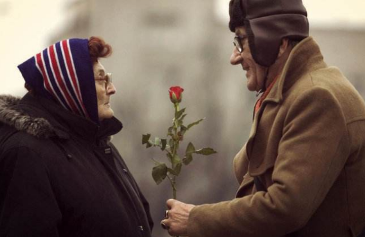 清水河滨河公园创新构建植物“全链条防护网”