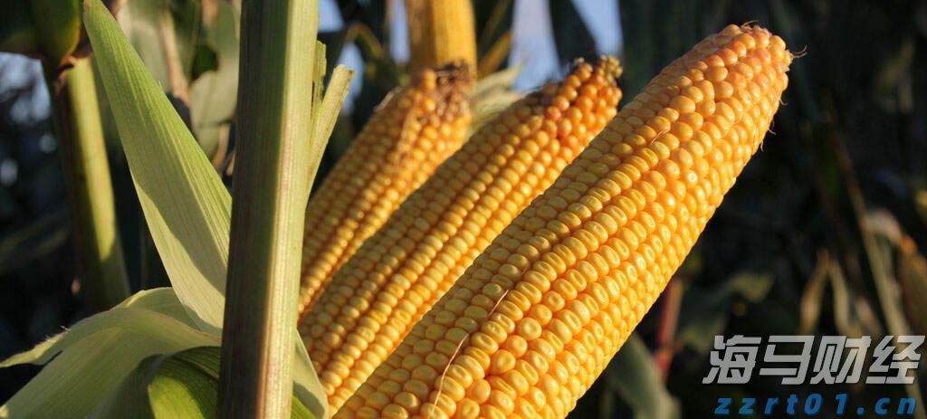 工业用全自动一体化净水器