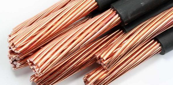 黑龙江省市场监管局开展保健食品生产经营专项整治行动