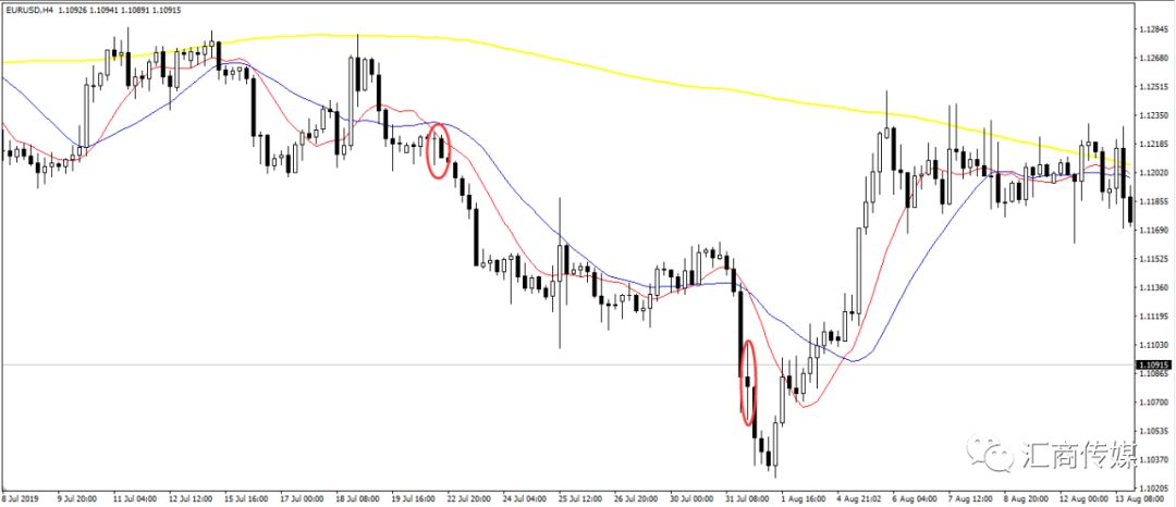 化身"植物医生"！珠海志愿者学习古树救护，守护百年鸡蛋花香