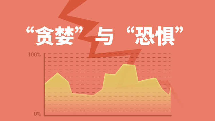 第24届安徽省青少年机器人竞赛圆满落幕 千余名学子展创新实践风采，赛事亮点纷呈促教育普及