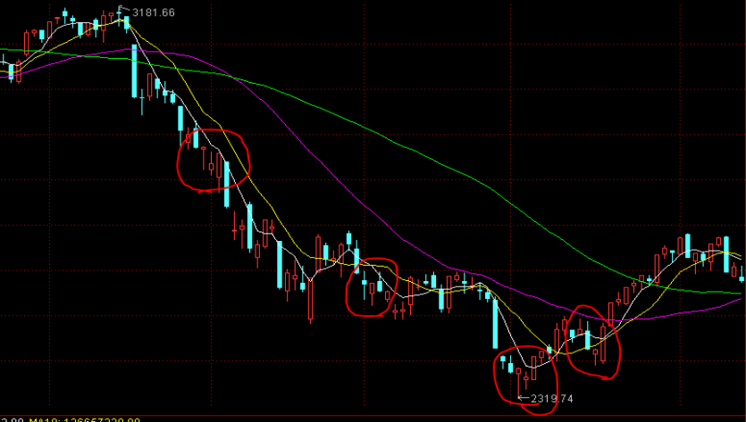 “童梦飞扬”联欢汇演举行