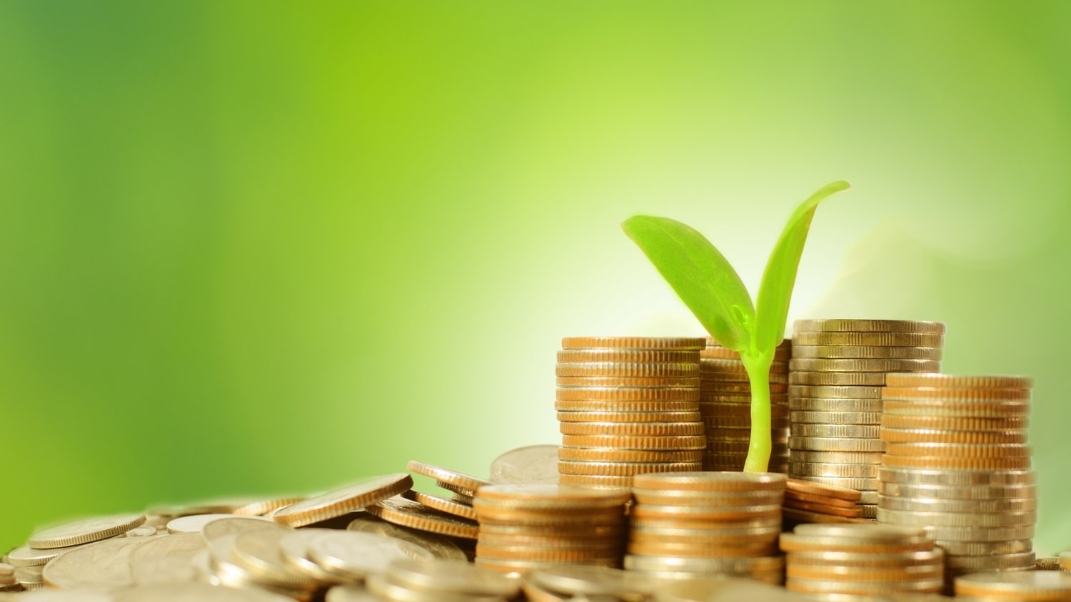 港元拆息整体上升 隔夜息创两个月高点