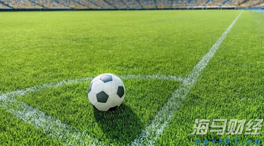 遛狗没牵绳引发冲突,致人右眼受伤!宠物主人获刑