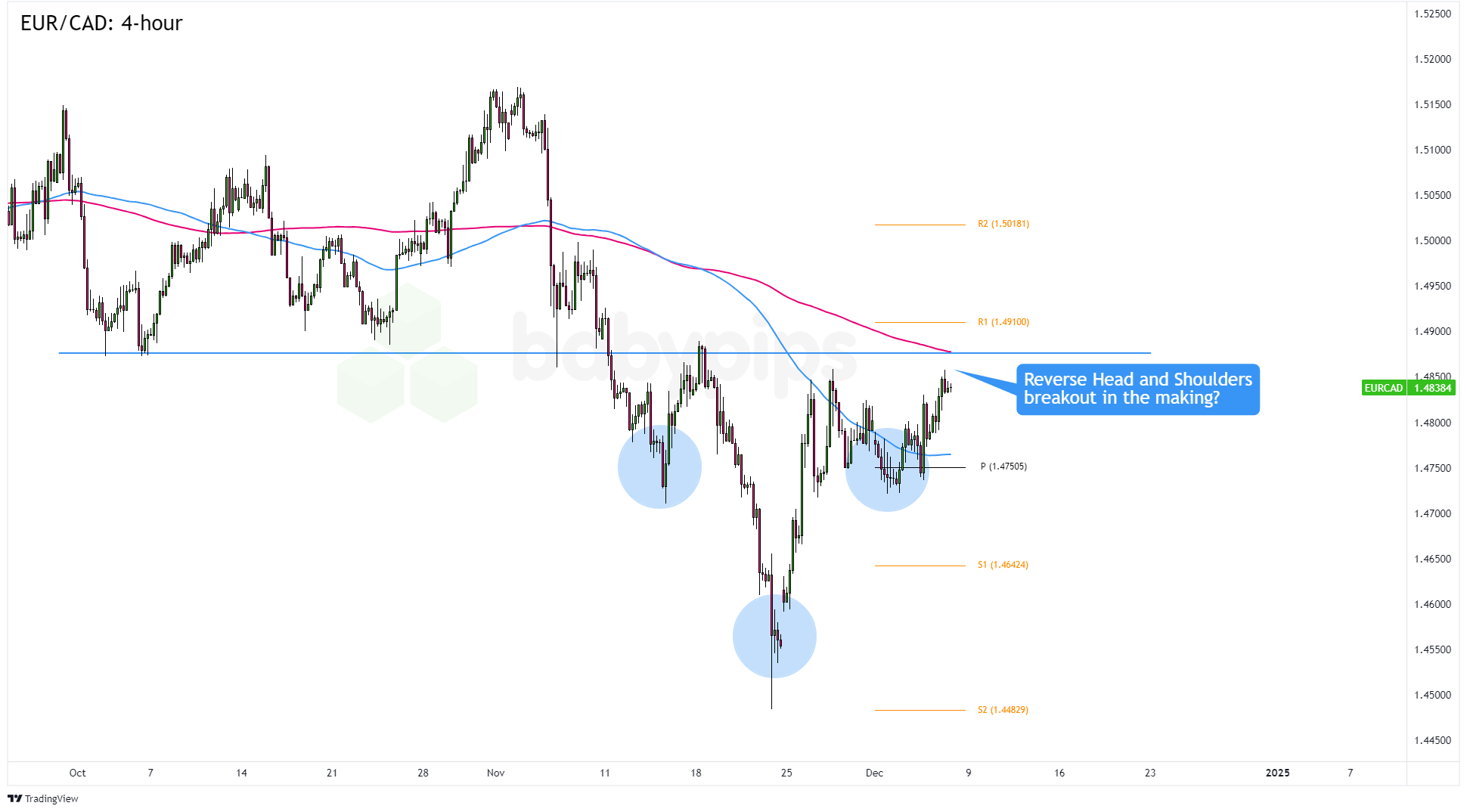  野村Q2投资布局聚焦AI及高波动性股票，重仓特斯拉期权