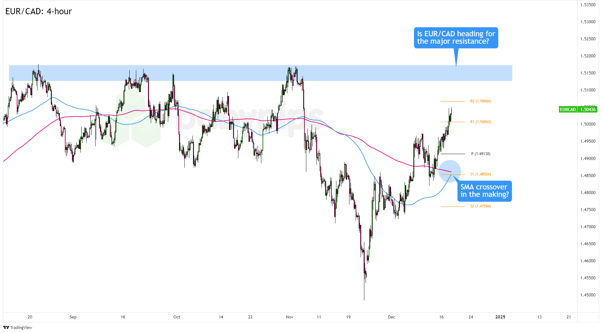 东津镇村级集体经济实现“开门红”